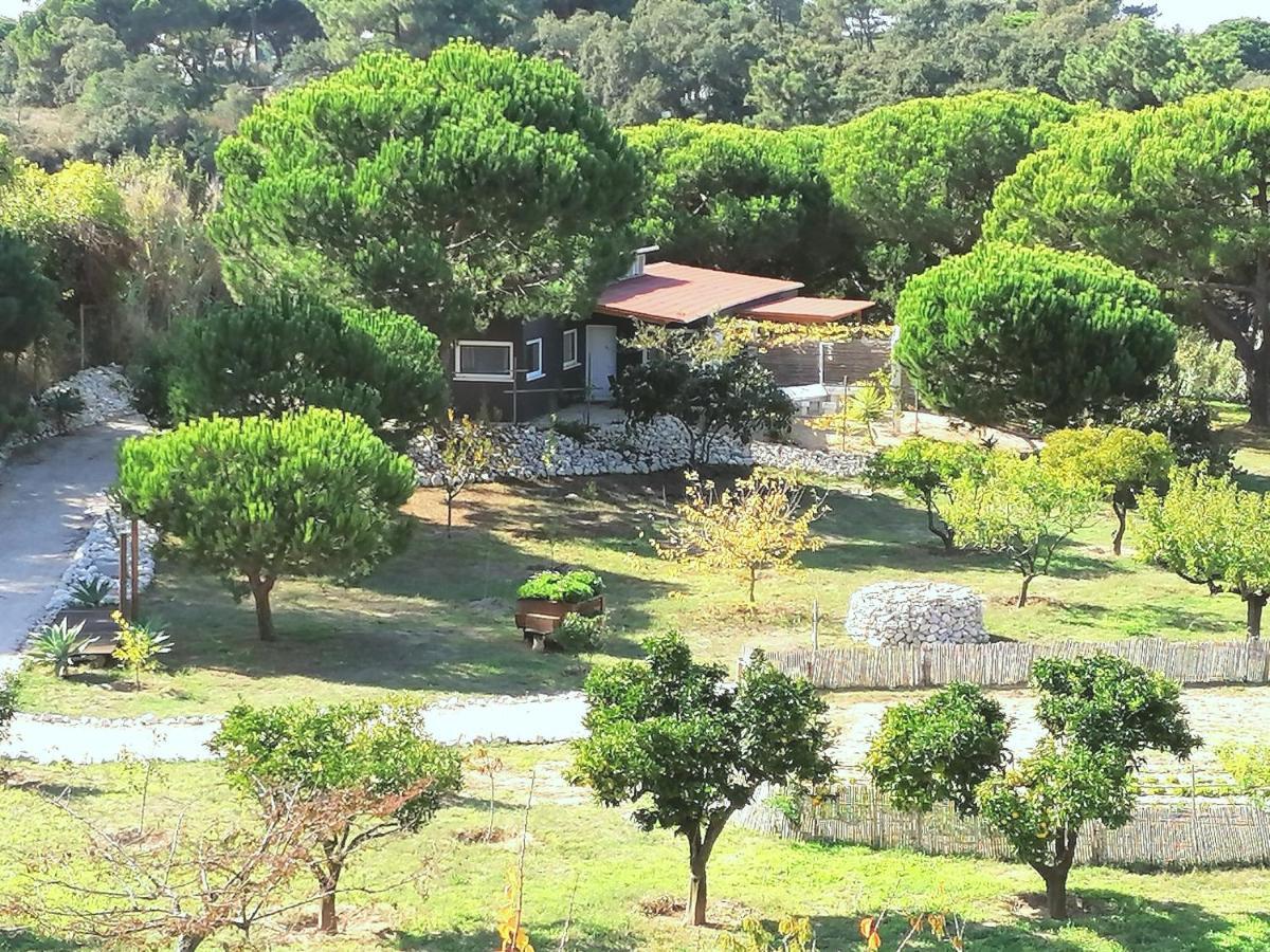 Quinta Do Meco - Beach & Nature Aldeia do Meco Exterior photo